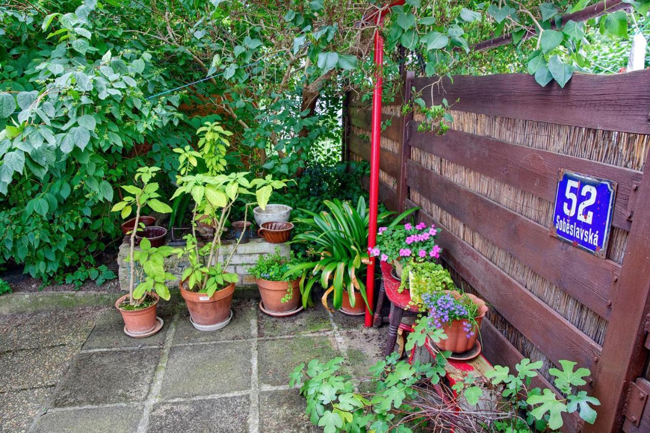 Garden In The Apartamento *